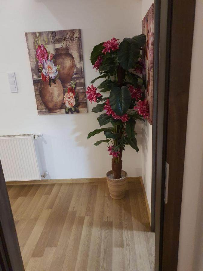 The Loft Apartment